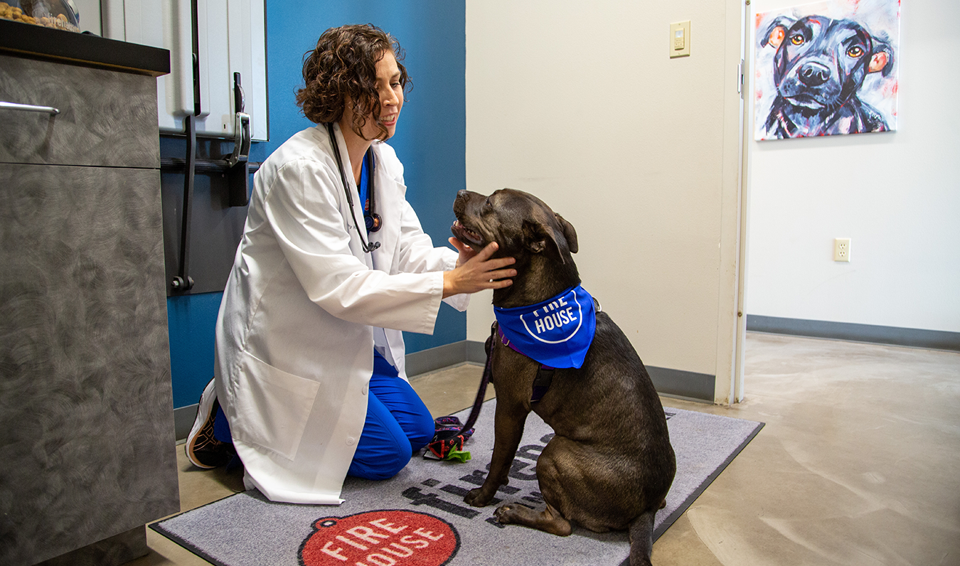Vet Near Me Cedar Park, TX 78613 Firehouse Cedar Park