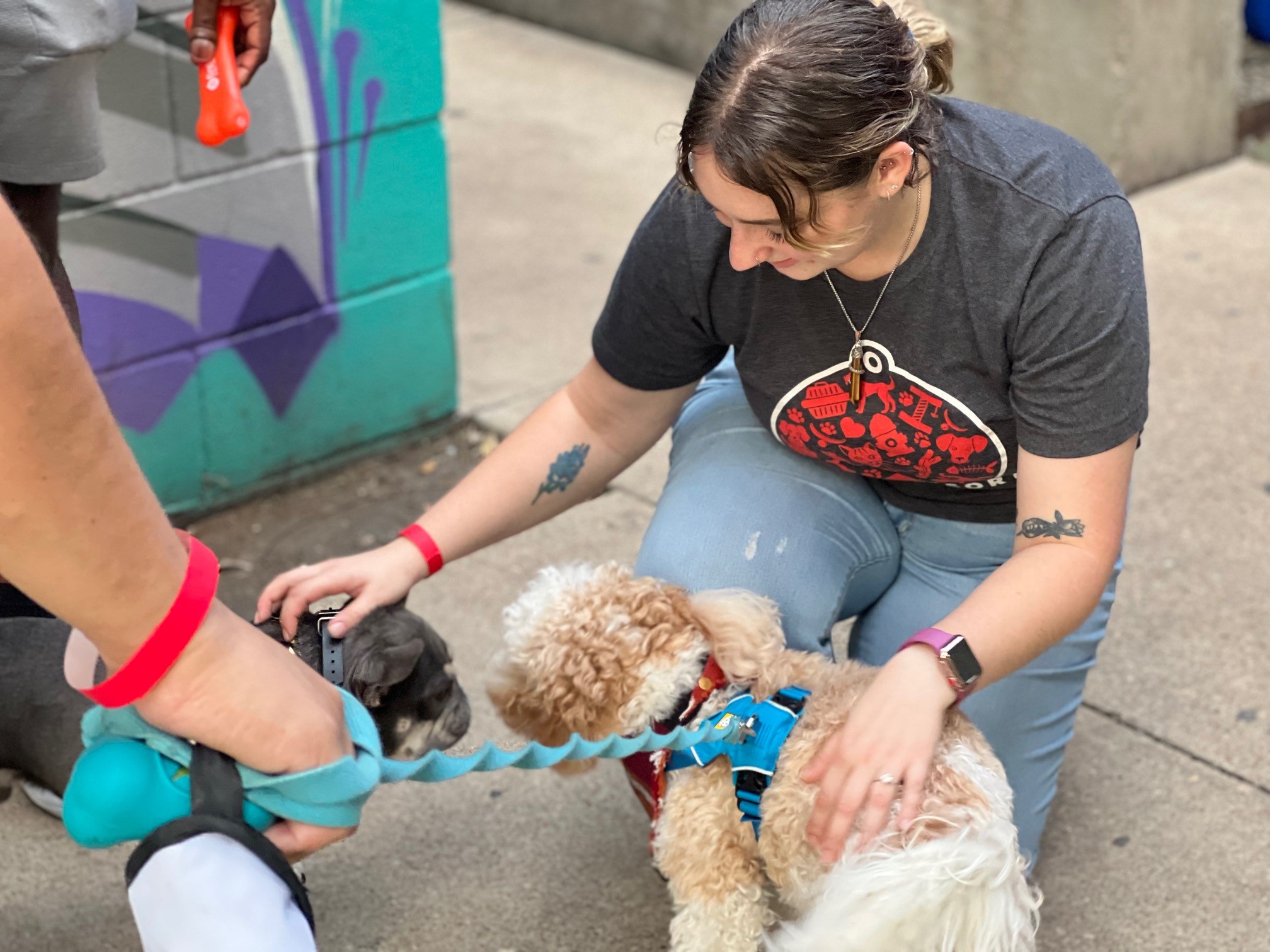 10th Annual Austin Humane Society Pup Crawl: Team members and their pups gathered to enjoy a drink (or two) along Rainey Street in support of the Austin Humane Society.