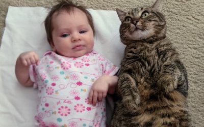 cat and child