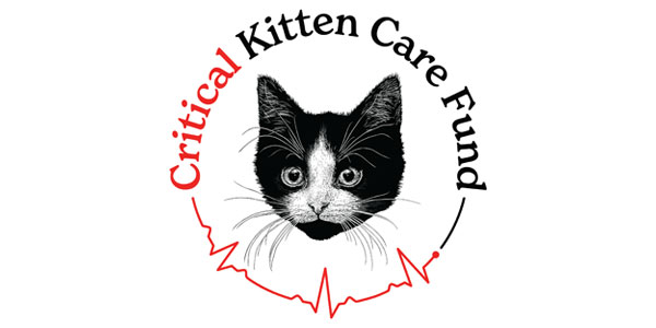 critical kitten care fund