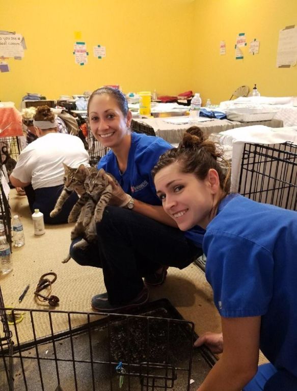 Our team volunteered at overcrowded pet shelters after Hurricane Harvey in August 2017.