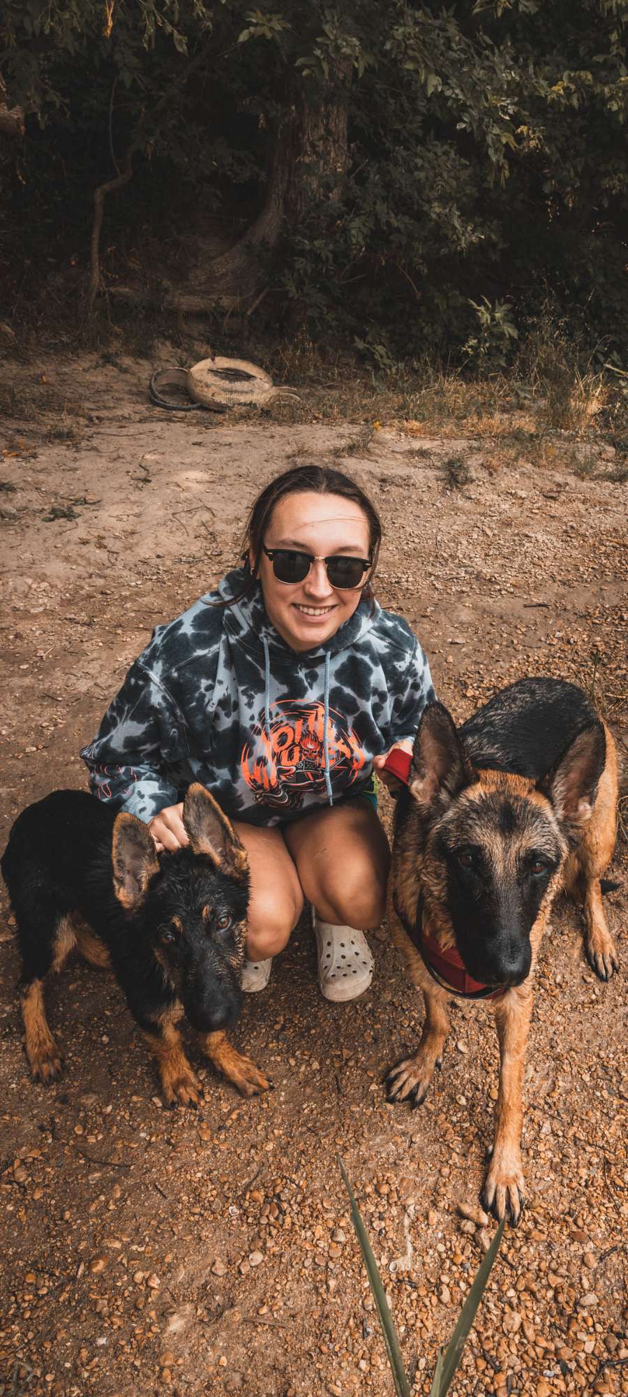 two dogs and owner on hike