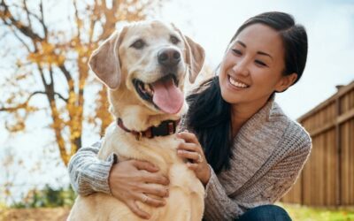 Protect Your Pets from Coyotes, Bobcats & Owls Safeguard cats and dogs from wildlife in your backyard and on walks