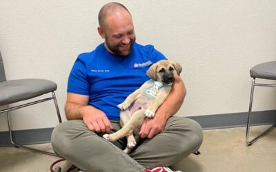 5 Ways to Support Pets With Separation Anxiety
