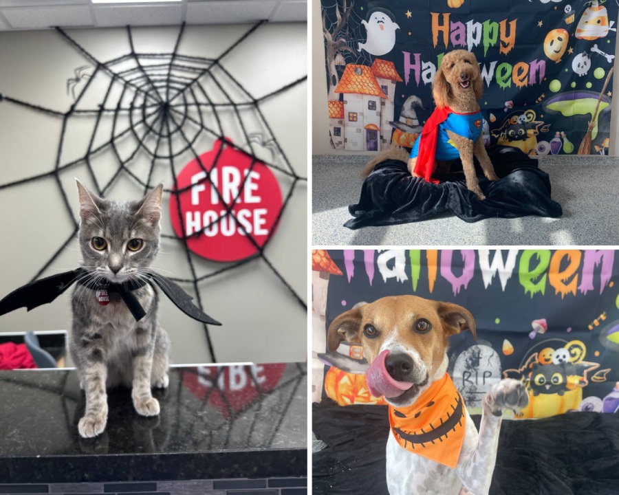 Street Wear Fashion Photo Collage Instagram Post.png (2) Street Wear Fashion Photo Collage Instagram Post